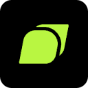 site icon